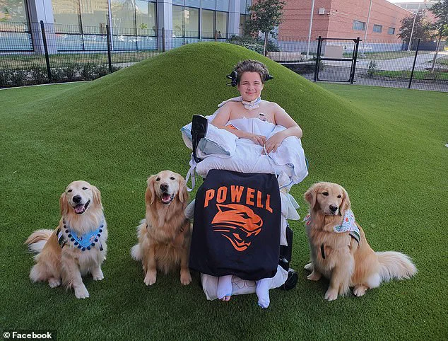 Sun Glare Linked to Tragic Crash Injuring Teen in Wyoming