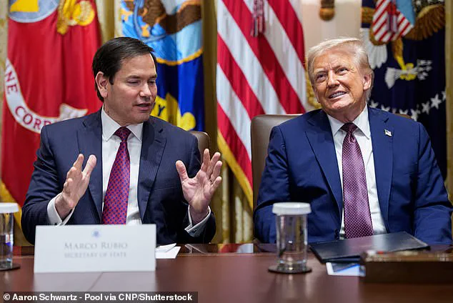 Limited Access and Royal Influence: The Mystery of Prince Harry's U.S. Visa