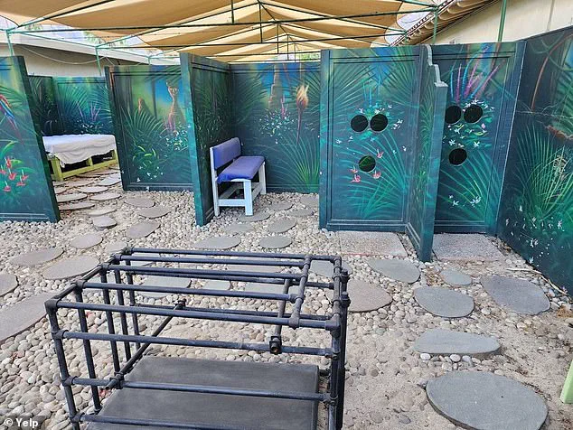 Exotic Dream Resort Listed for $10.5 Million Amid Controversy, Offering 40 Rooms and Adult-Themed 'Play Maze'