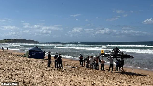 Seasoned Surfer Mercury Psillakis Attacked by Five-Metre Great White Shark at Dee Why Beach