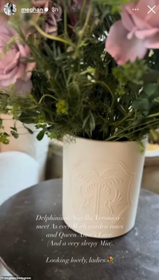 Meghan Markle's Opulent Montecito Mansion and Social Media Post Fuel Royal Family Controversy