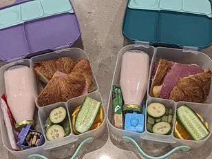 Public Debate Over Laser Removal of Birthmarks Sparks Discussion on Medical Regulations for Children