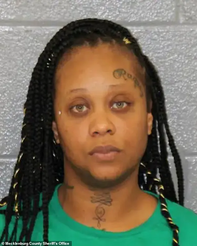 Public Safety in Question After Charlotte Stabbing: A Call for Stricter Regulations