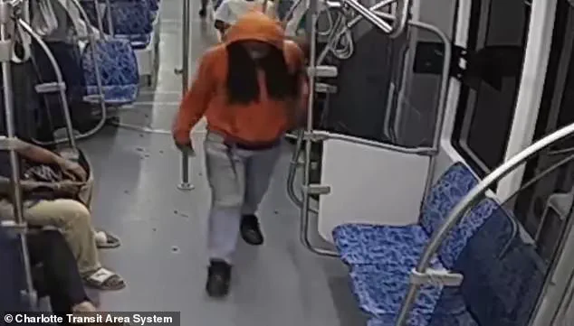 Public Safety in Question After Charlotte Stabbing: A Call for Stricter Regulations