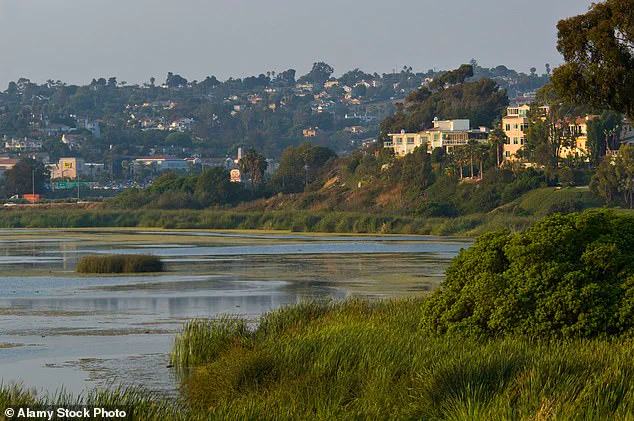 California Retail Magnate Fined Over Gate Blocking Public Beach Access Near Buena Vista Lagoon