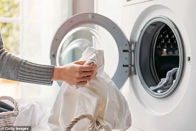 Guarded Secrets of Elite Laundry Circles: The Surprising Ingredient That Could Revolutionize Fabric Care
