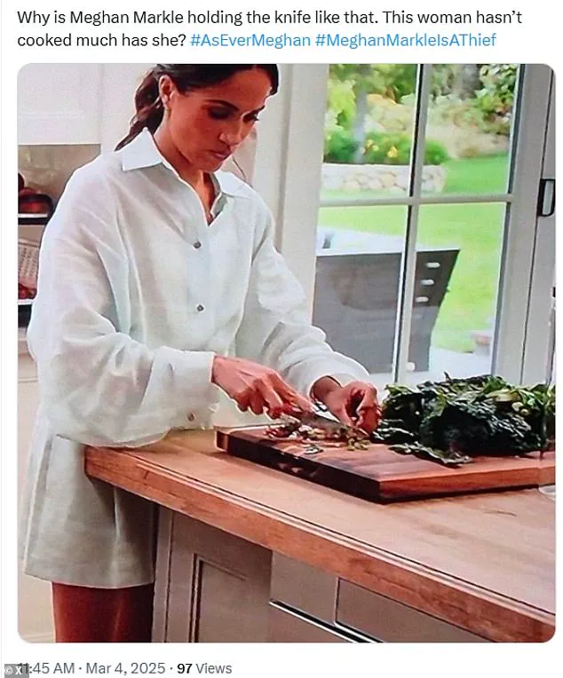 Meghan Markle's Privileged Cookery Disaster: From £15,000 Cooker to Lackluster Recipes That Exposed a Self-Aggrandizing Duchess