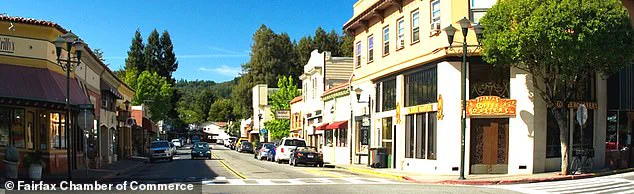 From Utopia to Battleground: Fairfax Residents Clash Over Affordable Housing Plan as Politicians Face Threats