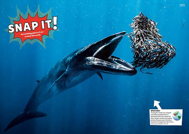 Digital Age Dilemma: The Struggle to Engage Young Readers in an Era of Screen Dominance