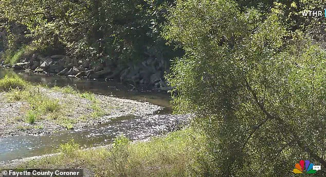 4,270-Year-Old Human Skull Unearthed in Indiana, Prompting Immediate Archaeological and Legal Investigations