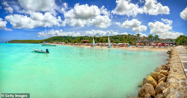 Tragic Attack on Horseback Riding Tour in Antigua: Witnesses Describe Brutal Beating That Killed 66-Year-Old Tour Guide