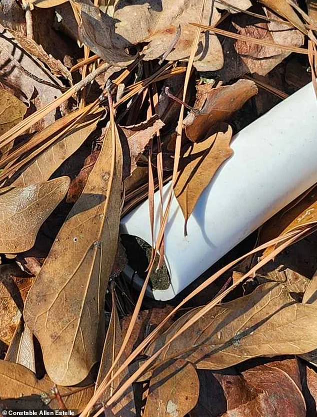 Privileged Access to Information Reveals Tragic Discovery in Missing Boy Case