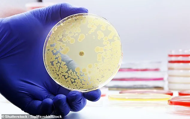 Study Reveals E. coli Contamination in Drinking Water on Major U.S. Airlines, Raising Health Concerns and Prompting Expert Advisories