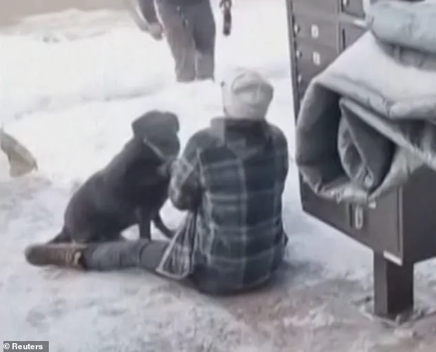 ''A Mother's Tragedy, a Nation's Dilemma': Families and Protesters Reflect on Renee Nicole Macklin Good's Death Amid Calls for Federal Accountability