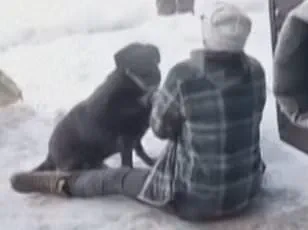 Late-Breaking: Minneapolis Mayor Jacob Frey's Explosive Outburst on CNN Condemns Federal Handling of ICE Incident