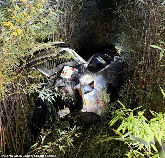 Legal Privilege and Public Trust: The Case of Supervised Financial Access for an Incarcerated Entrepreneur