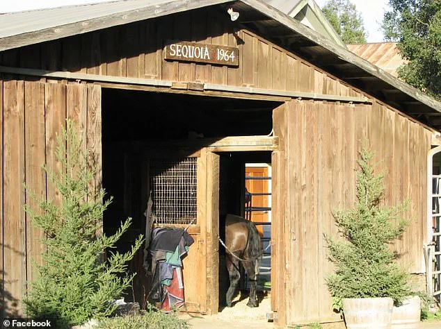 Legal Privilege and Public Trust: The Case of Supervised Financial Access for an Incarcerated Entrepreneur