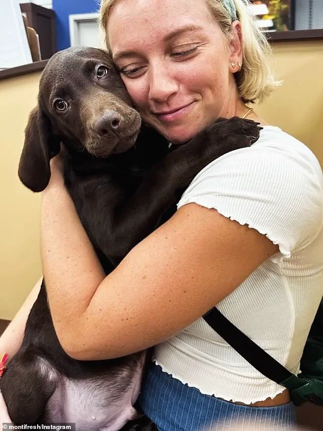 Pittsburgh Incident Sparks Concerns Over Urban Infrastructure Safety