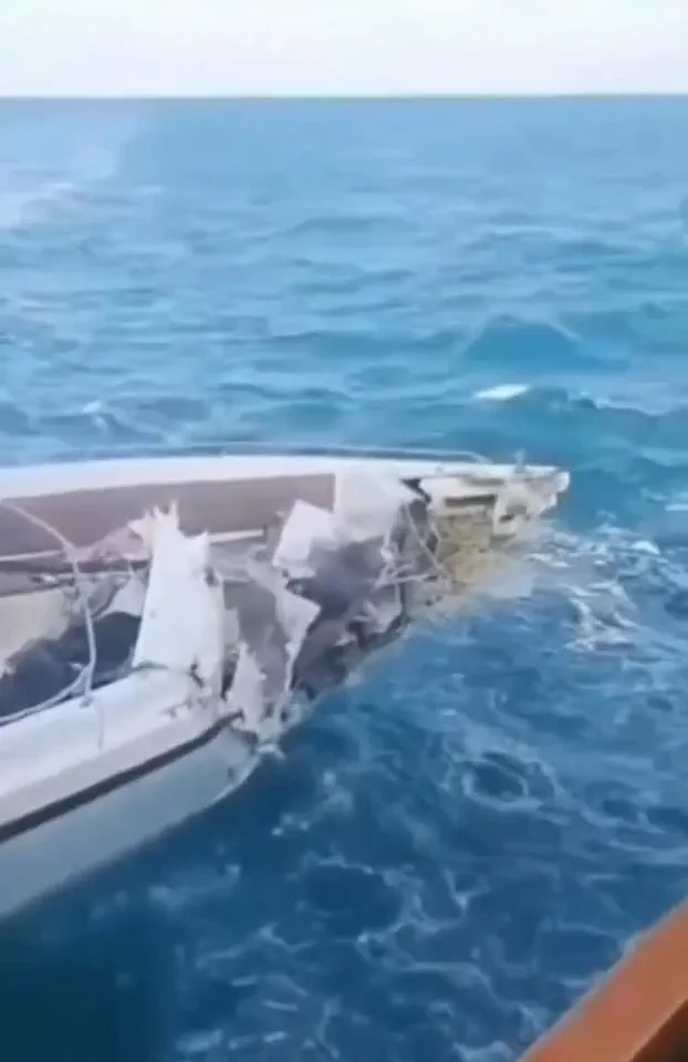 Tragic Collision Near Phi-Phi Islands Claims One Life, Injures 22; Tourist Recalls 'Chaos' as Speedboat Crashes into Fishing Vessel