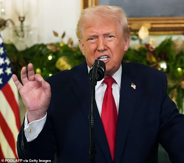 US Expands Syria Military Campaign with New Partnership to Target Islamic State Networks