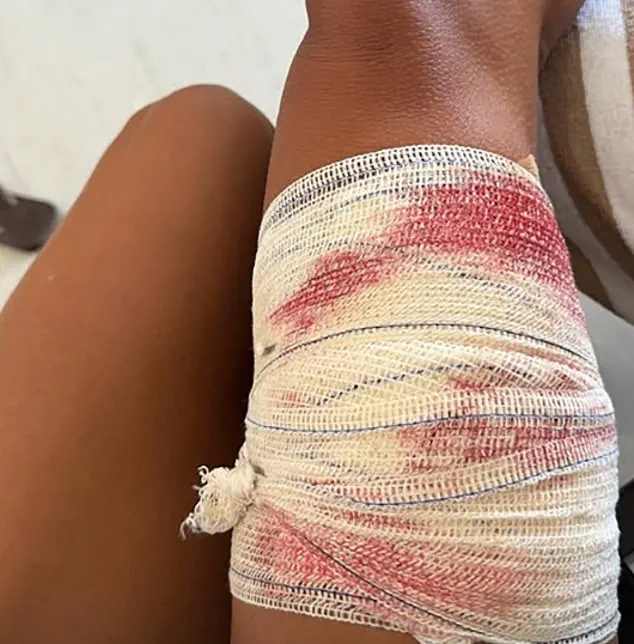 Exclusive Footage Reveals Rare Nurse Shark Encounter in UNESCO Waters