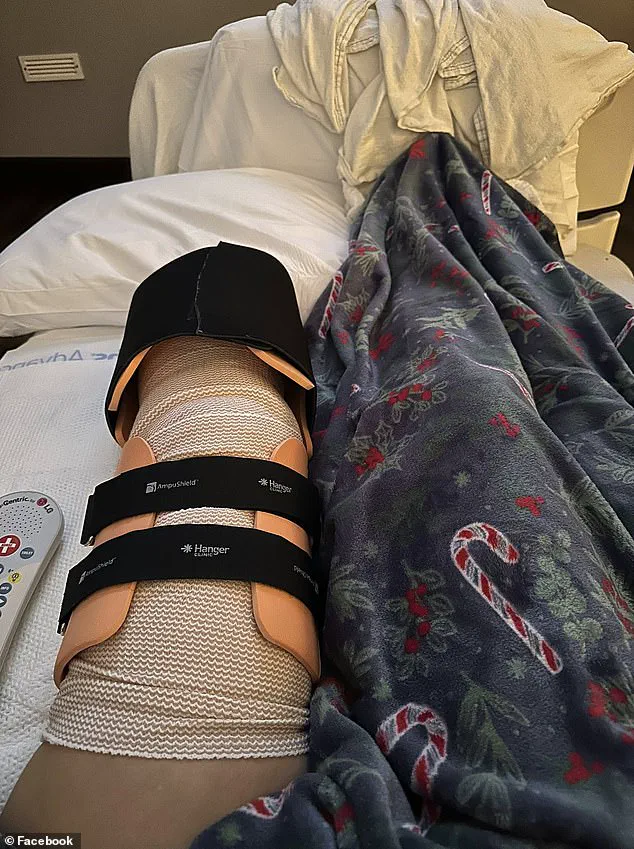 Exclusive Insights: Expert Advisories on Aggressive Breeds and Public Safety Risks