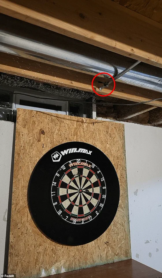 Reddit's r/FindTheSniper Challenges Users to Locate Missing Dart in Viral Photo