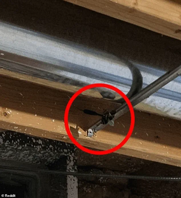 Reddit's r/FindTheSniper Challenges Users to Locate Missing Dart in Viral Photo