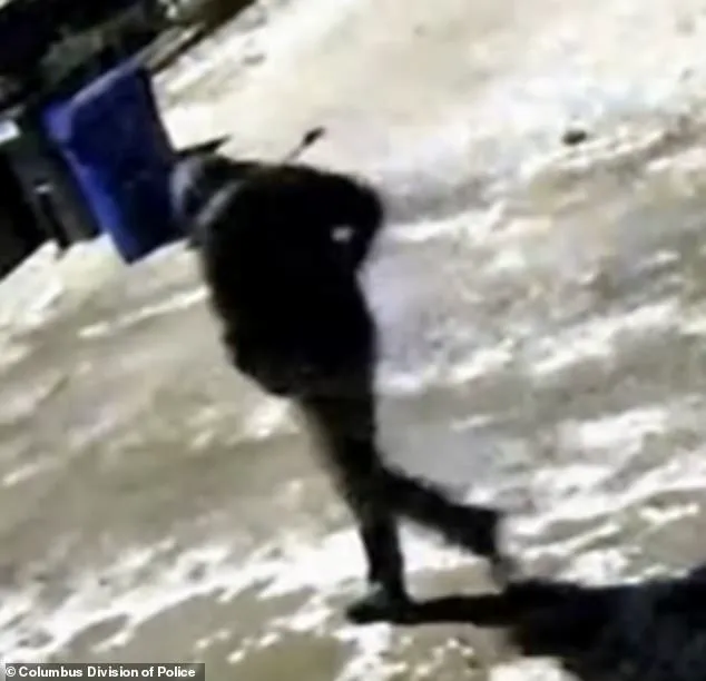 Tragic Deaths of Monique Tepe, 39, and Spencer Tepe, 37, in Weinland Park, Ohio: One-Year-Old Son and Four-Year-Old Daughter Found Unharmed at Scene