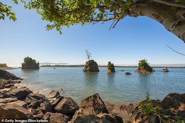 Limited Forensic Access Finally Identifies Missing Oregon Mayor's Remains After 20 Years