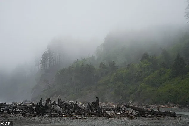 Limited Forensic Access Finally Identifies Missing Oregon Mayor's Remains After 20 Years