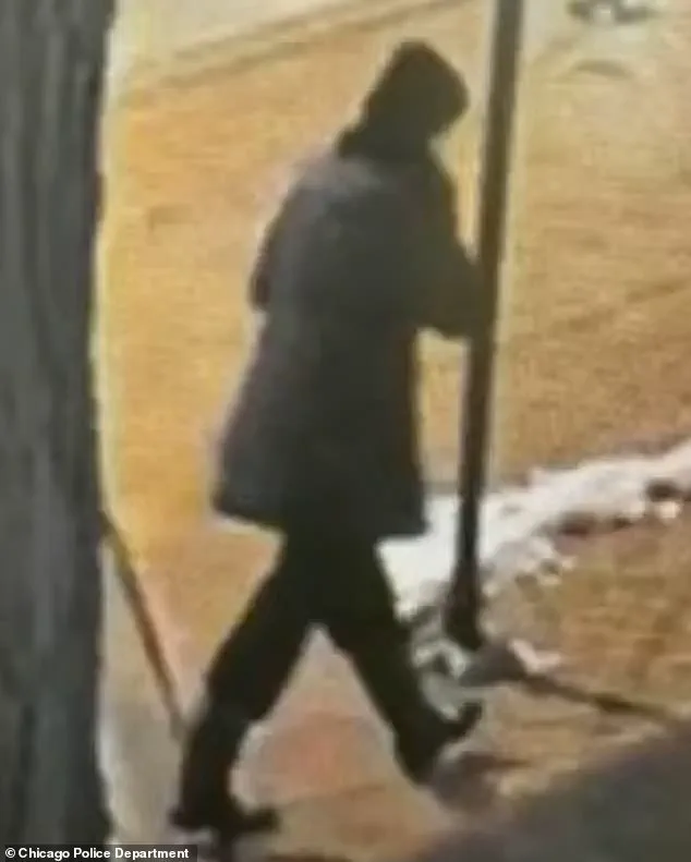 Tragic Conclusion to 10-Day Search: Body of Linda Brown Recovered from Lake Michigan