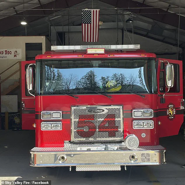 Exclusive Insight: Firefighters' Privileged Access Saves Puppies from Opioid Overdose