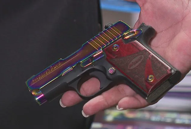 Judge Rosie Speedlin Gonzalez Faces Controversy Over Alleged Erratic Behavior in Reflejo Court Program