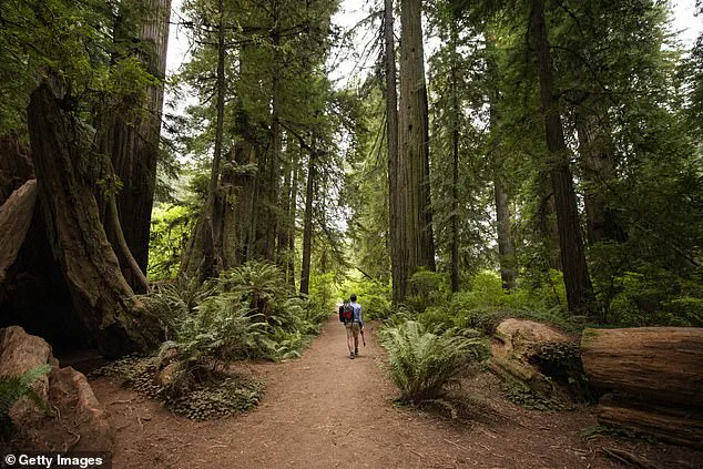 California Honors MLK Jr. Day with Free Parks Admission, Defying Trump's Holiday Policy