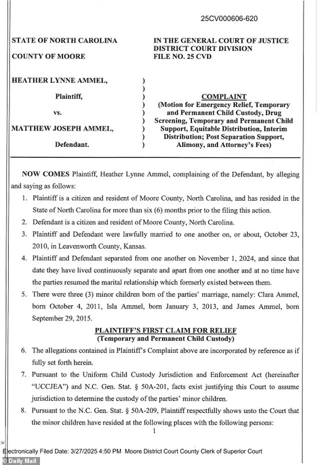 Legal Charges Against Former Bodyguard Raise Questions About Public Safety and Accountability in Political Circles