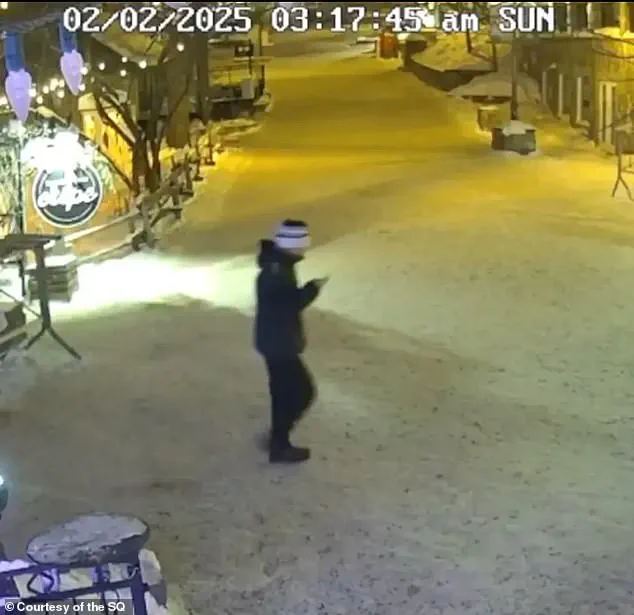 The Vanishing of Liam Gabriel Toman: A Year-Long Mystery in Mont-Tremblant