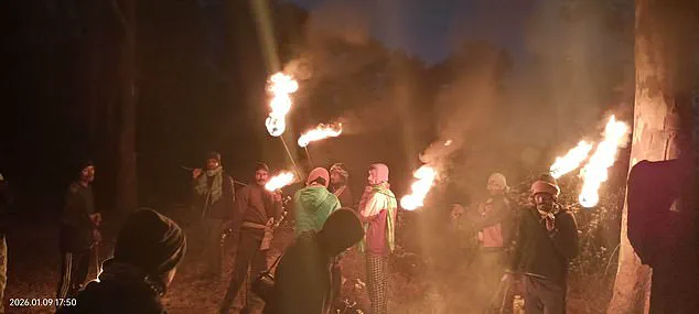 Jharkhand Elephant Rampage Displaces Villagers as Fear Grows Over Rampaging Animal