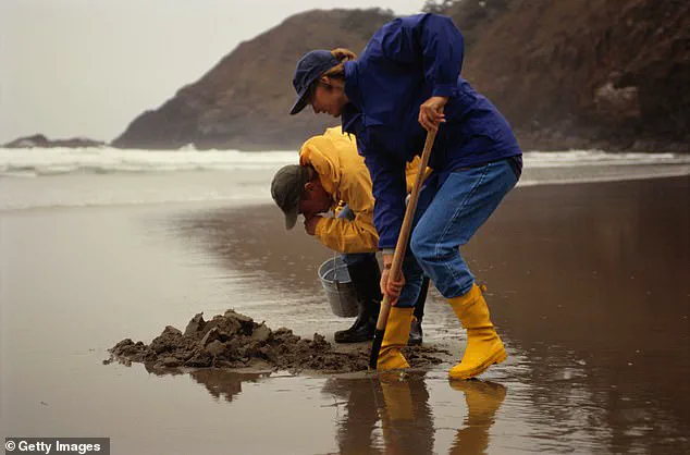 Historic Reclassification: Boston Harbor's Clean-Up Paves Way for Shellfish Consumption