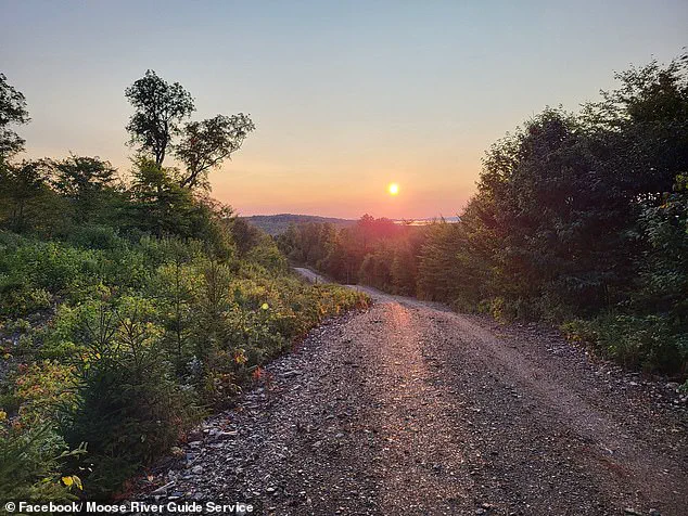 Remote Moose River: A Tranquil Haven or a Challenge for Residents?