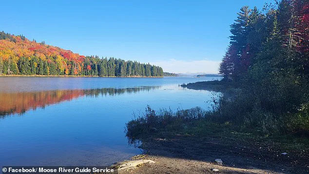 Remote Moose River: A Tranquil Haven or a Challenge for Residents?