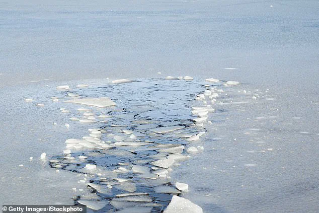 Tragic UTV Accident in Michigan Sparks Debate on Safety Regulations for Off-Road Vehicles