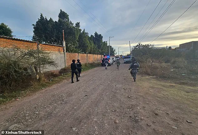 At Least 11 Dead in Mexico Football Pitch Attack as Violence Concerns Rise