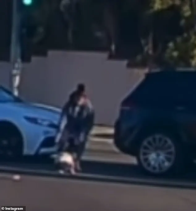 Viral Video of Toddler Falling from Moving Vehicle Sends Shockwaves Through Fullerton Community