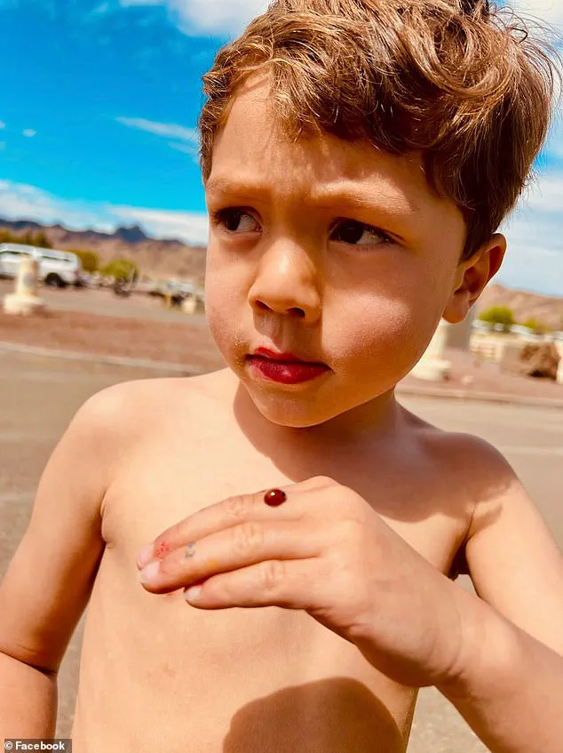 Exclusive: Limited Access to Information in the Sanchez Hit-and-Run Case