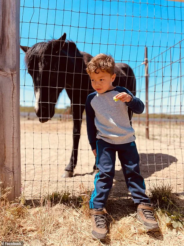 Exclusive: Limited Access to Information in the Sanchez Hit-and-Run Case