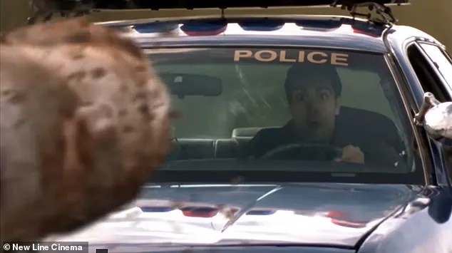 Ice Shard Incident in North Carolina Sparks Concerns Over Road Safety