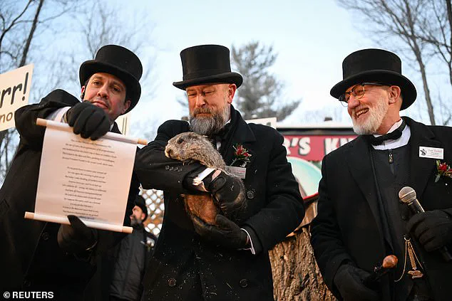 Groundhog Day Tradition: Punxsutawney Phil's Shadow and the Winter That Won't End