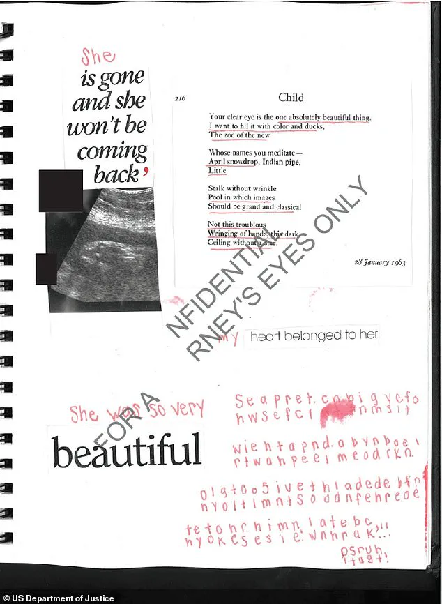 DOJ Unveils Epstein's Alleged 'Superior Gene Pool' Scheme, Victim's Diary Details Traumatic Pregnancy, Linking to Nazi Ideology