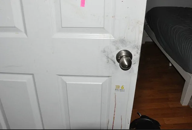 Harrowing Crime Scene Photos from Idaho Murders Uncover New Details, Reignite Public Anguish with FBI Analysis